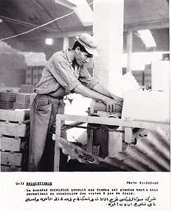 Algerie propagande 005
